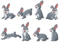 Set of funny rabbit cartoon