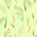 Cereal Plants seamless pattern on green background. Spikelets of Wheat, Oats, Rye, Proso Millet and Rice isolated.