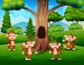 Scene with group of monkey under the tree Royalty Free Stock Photo