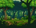 Dark rainforest with trees background