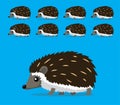 Animal Animation Sequence Hedgehog Walking Cartoon Vector
