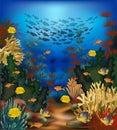 Underwater beautiful landscape wallpaper with tropical fish Royalty Free Stock Photo