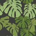 Seamless pattern of ink Hand drawn sketch Tropical palm leaves. Greeting card, invitation for summer beach party, flyer. Royalty Free Stock Photo