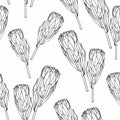 Scandinavian seamless pattern with protea flower. Simple minimalistic wallpaper pattern with nature element. Royalty Free Stock Photo