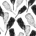 Scandinavian seamless pattern with protea flower. Simple minimalistic wallpaper pattern with nature element. Royalty Free Stock Photo