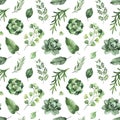 Watercolor Greenery seamless texture with fern,succulent,leaves,branches Royalty Free Stock Photo
