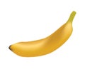 Hard yellow single banana vector.