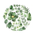 Watercolor Greenery arrangement with leaves,fern,branches,berry,succulent