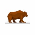 Big brown wild bear walking alone in woodland forest, mascot character in cartoon illustration vector isolated in white background Royalty Free Stock Photo