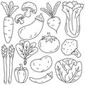 Vegetable vector illustration in hand drawn style Royalty Free Stock Photo