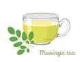 Moringa Leaf Tea in glass cup isolated on white background. Vector illustration of caffeine-free drink