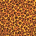 Vector cheetah or leopard skin pattern, repeating seamless texture. Animal print for textile design Royalty Free Stock Photo