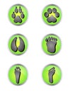 Set of icons with traces of different mammals