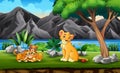 Lion family playing n the jungle Royalty Free Stock Photo