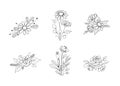 Set of Hand Drawn Line Art Flower Bouquet