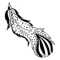 A curved bird feather flying in the wind in black and white decorated with stripes, loops, circles and lines. Decorative hand draw