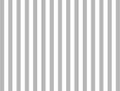 Gray straight lines interspersed with white. Abstract background, banner, card, web - vector Royalty Free Stock Photo