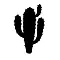 Cactus silhouette isolated on white background Royalty Free Stock Photo
