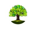 Green Maple tree vector image Royalty Free Stock Photo