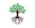 A tree with leaves and roots logo icon.