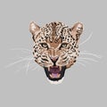 Graceful leopard Savana cat. Elegant poster, t-shirt composition element, hand drawn style print.