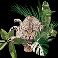 Graceful leopard and tropical leaves. Savana cat. Elegant poster, t-shirt composition.