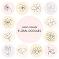 Floral graphic elements big vector set. Flowers and plants hand drawn illustration Royalty Free Stock Photo