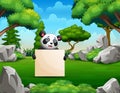 Panda holding a blank sign in the park