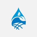 Water Drop and Leaves Tree Logo Design Vector Graphic. Royalty Free Stock Photo