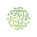 Nature Green Leaf Logo Design. Eco Natural Organic Vector Graphic Icon. Royalty Free Stock Photo