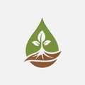 Water Drop and Leaves Tree Logo Design Vector Graphic. Royalty Free Stock Photo