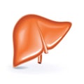 Vector illustration of liver organ Royalty Free Stock Photo