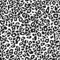 Cheetah skin pattern design. Cheetah spots print vector illustration background. Vector