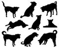 Set of dog silhouettes: Royalty Free Stock Photo