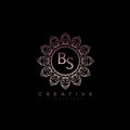 Letter BS Elegant initial logo Lotus vector