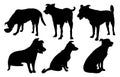 Set of dog silhouettes: Royalty Free Stock Photo