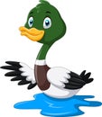 Cute cartoon Mallard duck waving Royalty Free Stock Photo