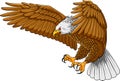 Flying eagle mascot logo cartoon Royalty Free Stock Photo