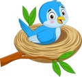 Cartoon blue bird sitting in a nest Royalty Free Stock Photo