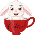 Cute rabbit sitting in a red cup