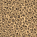 Leopard seamless pattern on yellow background. Exotic wild animal spots. Skin of Cheetah. Fashionable animal texture. Vector Royalty Free Stock Photo