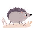 Cute hedgehog. Vector characters