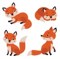 Foxes. Vector characters set