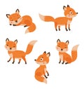 Foxes. Vector characters set