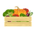 Wooden box with different fresh vegetables Isolated on white background. Vector illustration