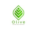 Olive Leaf logo on white background