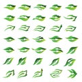 Set Leaf Nature Arrow Logo Design Vector Royalty Free Stock Photo