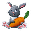 A rabbit cartoon holding big carrot Royalty Free Stock Photo