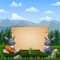 Happy bunnies sitting near wooden sign