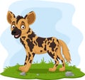 Cartoon African wild dog in the grass